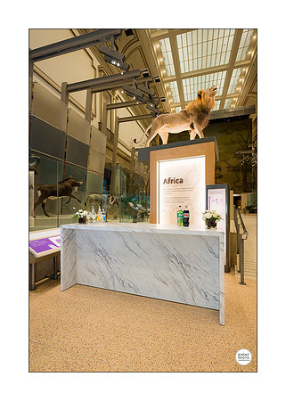 0029__12-8-22_Venture-Global-Holiday-Party-National-Museum-of-Natural-History-Washington-DC-EventPhotojournalism-event-photographers