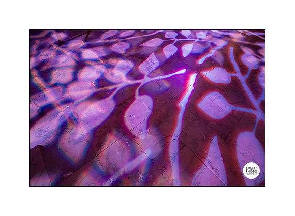 0025__12-8-22_Venture-Global-Holiday-Party-National-Museum-of-Natural-History-Washington-DC-EventPhotojournalism-event-photographers