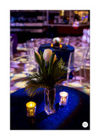 0004__12-8-22_Venture-Global-Holiday-Party-National-Museum-of-Natural-History-Washington-DC-EventPhotojournalism-event-photographers