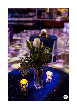 0004__12-8-22_Venture-Global-Holiday-Party-National-Museum-of-Natural-History-Washington-DC-EventPhotojournalism-event-photographers