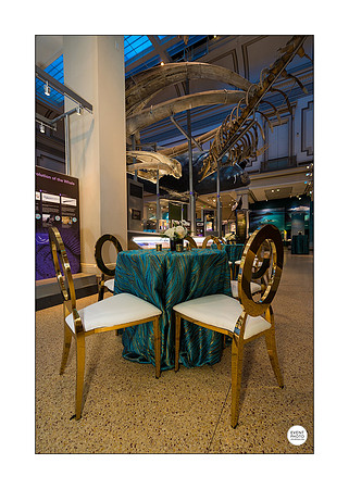 0017__12-8-22_Venture-Global-Holiday-Party-National-Museum-of-Natural-History-Washington-DC-EventPhotojournalism-event-photographers