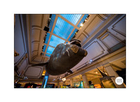 0015__12-8-22_Venture-Global-Holiday-Party-National-Museum-of-Natural-History-Washington-DC-EventPhotojournalism-event-photographers