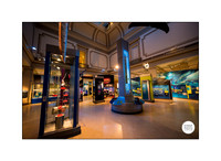 0016__12-8-22_Venture-Global-Holiday-Party-National-Museum-of-Natural-History-Washington-DC-EventPhotojournalism-event-photographers