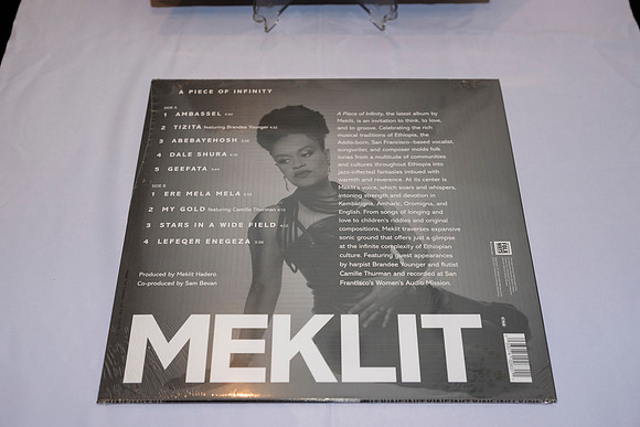 0015__NMAfA-Jazz-Concert-Meklit-Hadero-Washington-DC-Event-Photojournalism-photography
