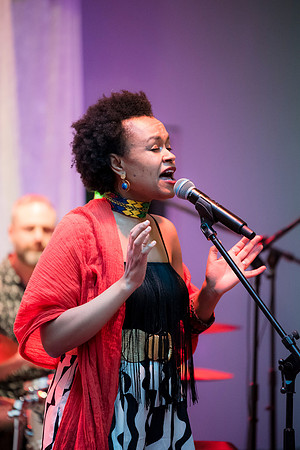 0075__NMAfA-Jazz-Concert-Meklit-Hadero-Washington-DC-Event-Photojournalism-photography