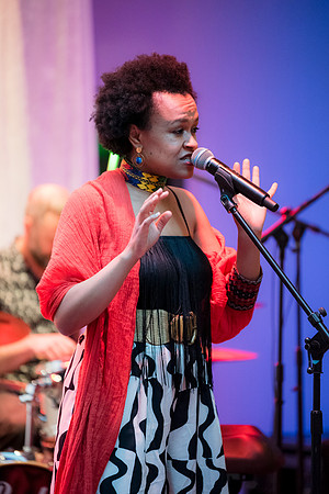 0080__NMAfA-Jazz-Concert-Meklit-Hadero-Washington-DC-Event-Photojournalism-photography