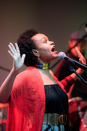 0083__NMAfA-Jazz-Concert-Meklit-Hadero-Washington-DC-Event-Photojournalism-photography