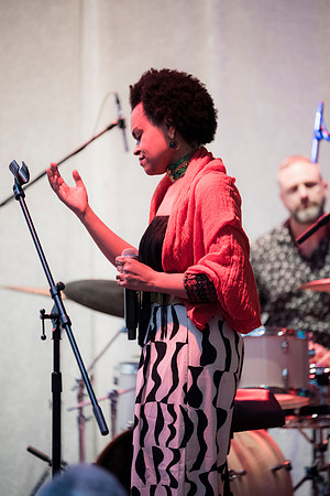 0136__NMAfA-Jazz-Concert-Meklit-Hadero-Washington-DC-Event-Photojournalism-photography