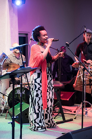 0241__NMAfA-Jazz-Concert-Meklit-Hadero-Washington-DC-Event-Photojournalism-photography