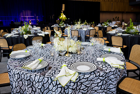 0141_7-24-25_MC&A-Room-Decor-Shoot_Capital-One-Hall-Tysons-Virginia-Event-Photojournalism-photography