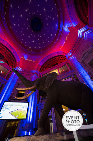 0143__12-8-22_Venture-Global-Holiday-Party-National-Museum-of-Natural-History-Washington-DC-EventPhotojournalism-event-photographers