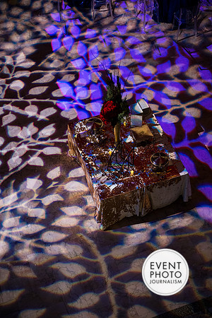 0041__12-8-22_Venture-Global-Holiday-Party-National-Museum-of-Natural-History-Washington-DC-EventPhotojournalism-event-photographers