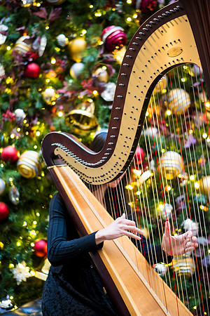 Holiday-Party-Photographer-Washington-DC-Northern-Virginia-Event-Photojournalism-photography__0087