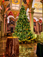 Holiday-Party-Photographer-Washington-DC-Northern-Virginia-Event-Photojournalism-photography__0081