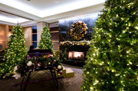 Holiday-Party-Photographer-Washington-DC-Northern-Virginia-Event-Photojournalism-photography__0116