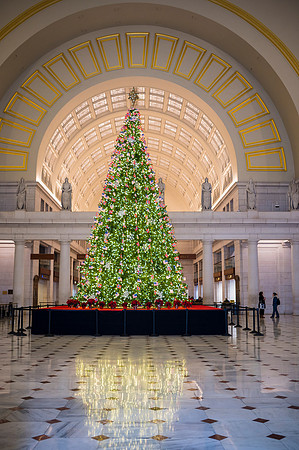 Holiday-Party-Photographer-Washington-DC-Northern-Virginia-Event-Photojournalism-photography__0038