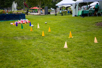 0010__7-20-26_2026-Girl-Scout-Festival-at-Franklin-Park-Washington-DC-Event-Photojournalism-photography