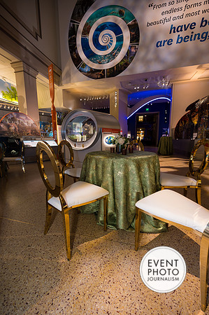 0009__12-8-22_Venture-Global-Holiday-Party-National-Museum-of-Natural-History-Washington-DC-EventPhotojournalism-event-photographers