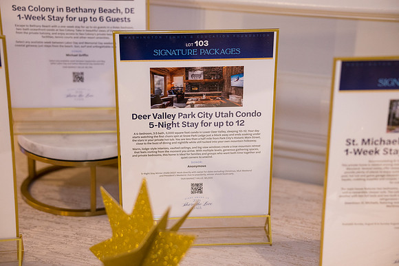 0055__7-24-26_WTEF-Gala-Ritz-Carlton-Washington-DC-Event-Photojournalism-photography