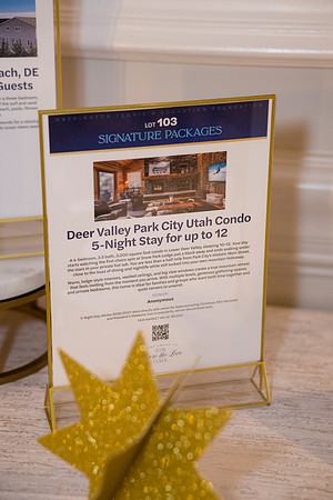 0108__7-24-26_WTEF-Gala-Ritz-Carlton-Washington-DC-Event-Photojournalism-photography