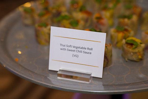0678__7-24-26_WTEF-Gala-Ritz-Carlton-Washington-DC-Event-Photojournalism-photography
