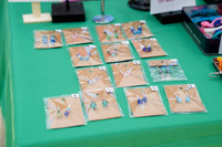 0002__7-25-26_2026-Girl-Scout-Festival-at-Franklin-Park-Washington-DC-Event-Photojournalism-photography
