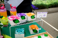 0005__7-25-26_2026-Girl-Scout-Festival-at-Franklin-Park-Washington-DC-Event-Photojournalism-photography