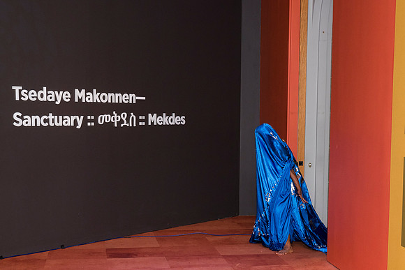 0065__7-31-26_NMAfA-DC-Live-Performance-by-Artist-Tsedaye-Makonnen-Event-Photojournalism-photography