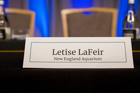 0020__10-20-26_Environmental-Law-Institute_Annual-Forum-Awards-DinnerRitz-Carlton-DC-Event-Photojournalism-Photography