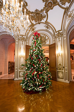 227__12-4-19_Capital-City-Events-Perry-Belmont-House-Washington-DC-EventPhotojournalism-event-photographers