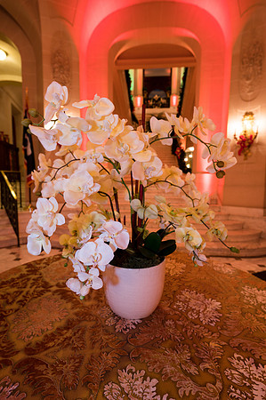 192__12-4-19_Capital-City-Events-Perry-Belmont-House-Washington-DC-EventPhotojournalism-event-photographers