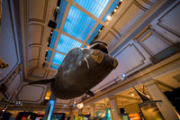 0015__12-8-22_Venture-Global-Holiday-Party-National-Museum-of-Natural-History-Washington-DC-EventPhotojournalism-event-photographers