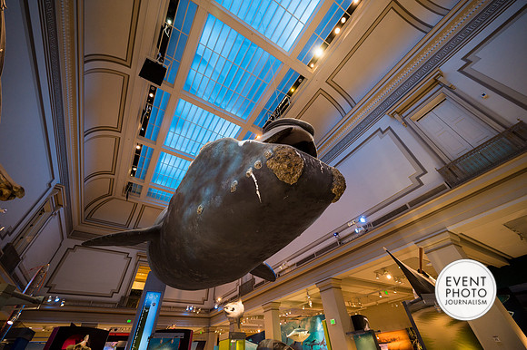 0015__12-8-22_Venture-Global-Holiday-Party-National-Museum-of-Natural-History-Washington-DC-EventPhotojournalism-event-photographers