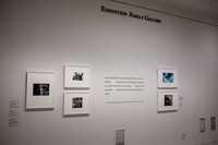 0004__9-17-26_SAAM-Much Here Is Beautiful-Event-Photojournalism-DC-Photographer