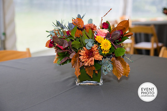 0113__10-11-26_Guru Sethupathy Private Event-Event-Photojournalism-Mclean-Virginia-photographers