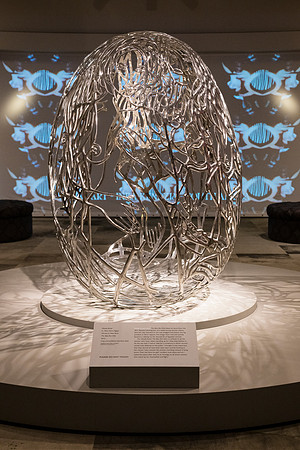 0680__9-26-26_NMAfA-Community-Day-Washington-DC-Event-Photojournalism-Photographer