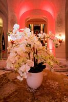 193__12-4-19_Capital-City-Events-Perry-Belmont-House-Washington-DC-EventPhotojournalism-event-photographers