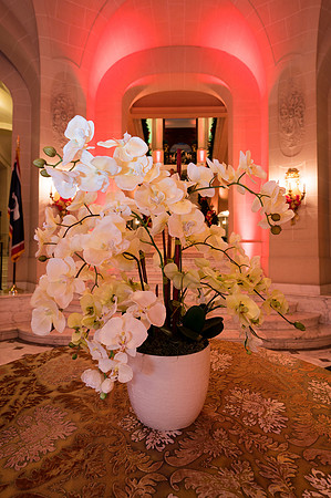 193__12-4-19_Capital-City-Events-Perry-Belmont-House-Washington-DC-EventPhotojournalism-event-photographers