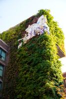 0008__10-27-26_Four-Seasons-DC-Fireside-Chat-Danny-Meyer-Rodney-Bailey-Photography