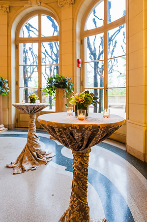 Meridian-House-Washington-DC-Event-Gala-Conference-Photography-Event-Photojournalism-Photographer_0018