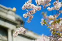 1257__4-2-19-2019-USHCC-Legislative-Summit-Capitol-Hill-Building-Washington-DC-Event-Photojournalism-conference-photographers