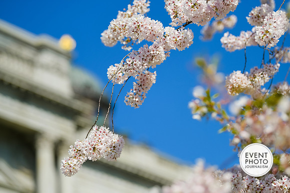 1257__4-2-19-2019-USHCC-Legislative-Summit-Capitol-Hill-Building-Washington-DC-Event-Photojournalism-conference-photographers