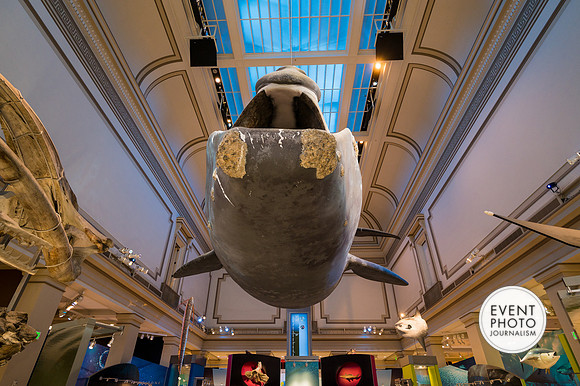 0122__12-8-22_Venture-Global-Holiday-Party-National-Museum-of-Natural-History-Washington-DC-EventPhotojournalism-event-photographers