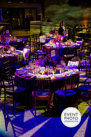 0670__9-24-26_10th-Anniversary-The-National-Museum-of-African-American-History-and-Culture-Washington-DC-Event-Photojournalism-Photographer
