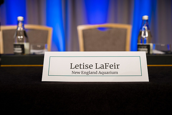 0021__10-20-26_Environmental-Law-Institute_Annual-Forum-Awards-DinnerRitz-Carlton-DC-Event-Photojournalism-Photography