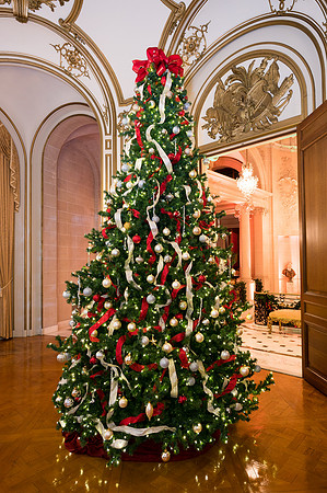 239__12-4-19_Capital-City-Events-Perry-Belmont-House-Washington-DC-EventPhotojournalism-event-photographers