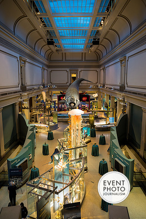 0037__12-8-22_Venture-Global-Holiday-Party-National-Museum-of-Natural-History-Washington-DC-EventPhotojournalism-event-photographers