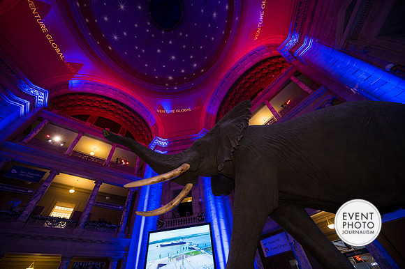 0250__12-8-22_Venture-Global-Holiday-Party-National-Museum-of-Natural-History-Washington-DC-EventPhotojournalism-event-photographers