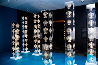 0011__12-13-24_Smithsonian-National-Museum-of-African-Art-Makonnen-Exhibit-EventPhotojournalism-photographers