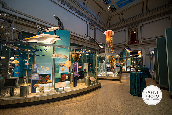 0116__12-8-22_Venture-Global-Holiday-Party-National-Museum-of-Natural-History-Washington-DC-EventPhotojournalism-event-photographers